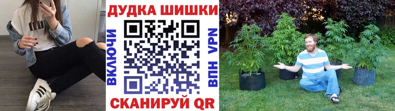 Купить  Торжок  Марихуана LSD WEED 